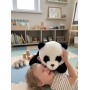 Интерактивная умная плюшевая панда AI Панда — говорящая обучающая игрушка